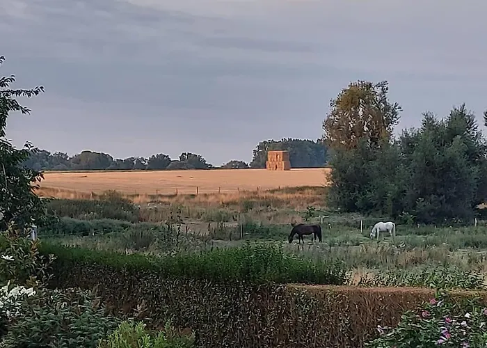 140 M2 De Charme A La Campagne Dans Un Style Design